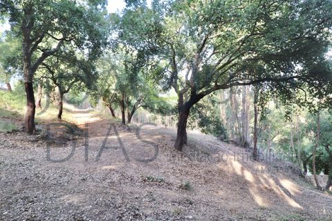 Farm i Lousa, Coimbra, Lousa - € 210.000 | Ref: 18-19/2021 - foto 22