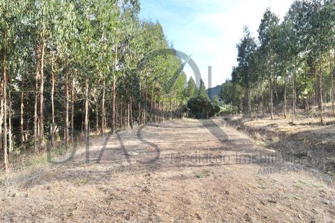 Farm i Lousa, Coimbra, Lousa - € 210.000 | Ref: 18-19/2021 - foto 23