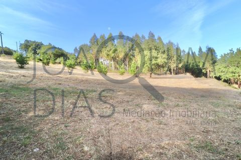 Farm i Lousa, Coimbra, Lousa - € 210.000 | Ref: 18-19/2021 - foto 24