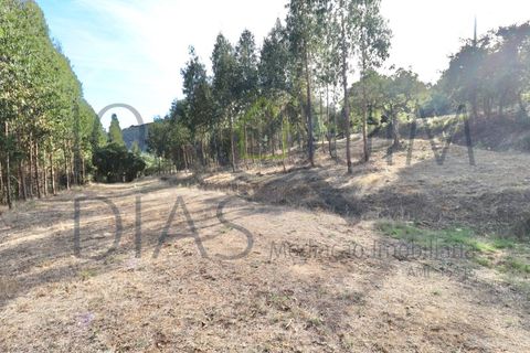 Farm i Lousa, Coimbra, Lousa - € 210.000 | Ref: 18-19/2021 - foto 25