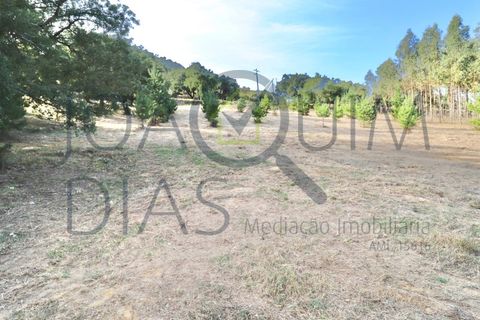 Farm i Lousa, Coimbra, Lousa - € 210.000 | Ref: 18-19/2021 - foto 27