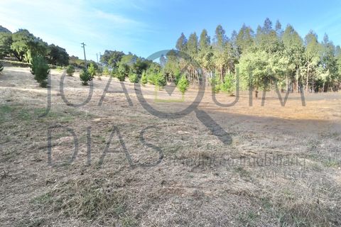Farm i Lousa, Coimbra, Lousa - € 210.000 | Ref: 18-19/2021 - foto 28