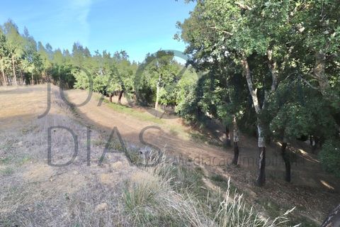 Farm i Lousa, Coimbra, Lousa - € 210.000 | Ref: 18-19/2021 - foto 29