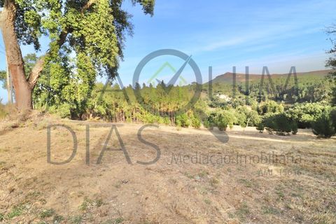 Farm i Lousa, Coimbra, Lousa - € 210.000 | Ref: 18-19/2021 - foto 30