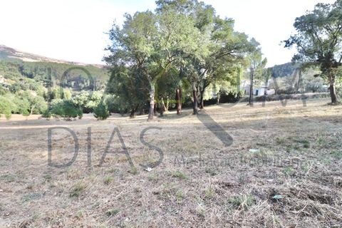 Farm i Lousa, Coimbra, Lousa - € 210.000 | Ref: 18-19/2021 - foto 31