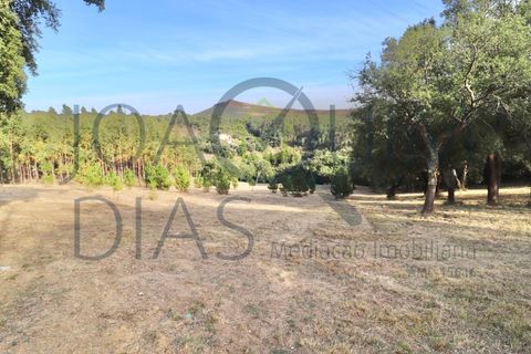Farm i Lousa, Coimbra, Lousa - € 210.000 | Ref: 18-19/2021 - foto 32