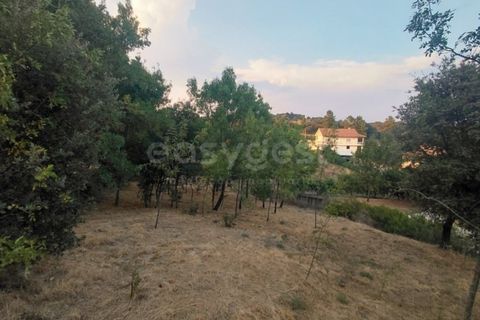 Villa a Braganca, Braganca, Braganca - € 585.000 | Ref: BG97926TM - foto 49