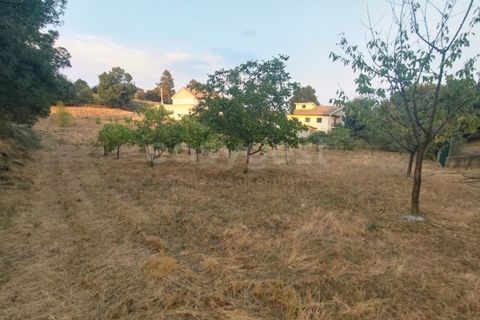 Villa a Braganca, Braganca, Braganca - € 585.000 | Ref: BG97926TM - foto 50