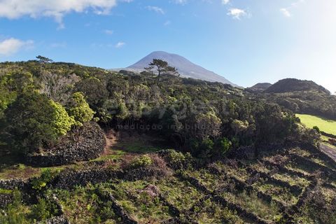 Helårsgrund i Candelaria, Pico, Candelaria - € 85.000 | Ref: AZ97908MK - foto 3