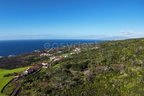 Helårsgrund i Candelaria, Pico, Candelaria - € 85.000 | Ref: AZ97908MK - foto 6