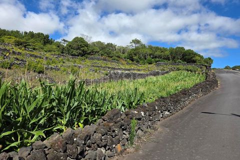 Helårsgrund i Candelaria, Pico, Candelaria - € 85.000 | Ref: AZ97908MK - foto 8