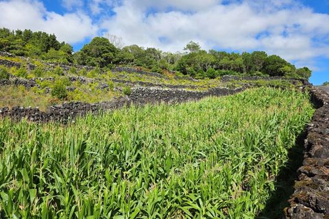Helårsgrund i Candelaria, Pico, Candelaria - € 85.000 | Ref: AZ97908MK - foto 9