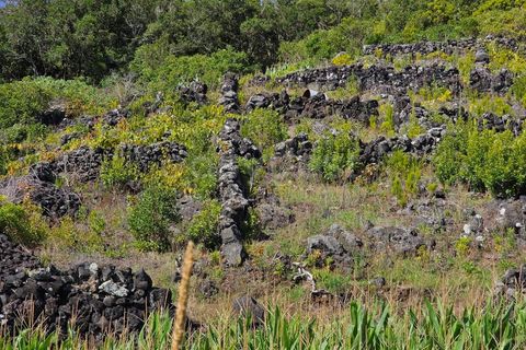 Helårsgrund i Candelaria, Pico, Candelaria - € 85.000 | Ref: AZ97908MK - foto 10