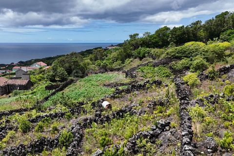 Helårsgrund i Candelaria, Pico, Candelaria - € 85.000 | Ref: AZ97908MK - foto 13