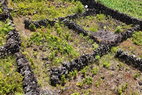 Helårsgrund i Candelaria, Pico, Candelaria - € 85.000 | Ref: AZ97908MK - foto 15