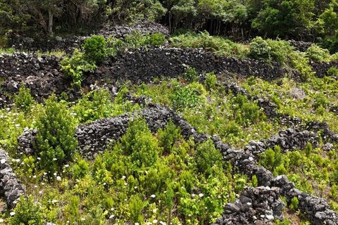 Helårsgrund i Candelaria, Pico, Candelaria - € 85.000 | Ref: AZ97908MK - foto 16