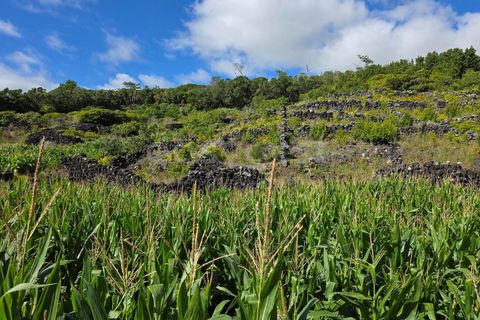 Helårsgrund i Candelaria, Pico, Candelaria - € 85.000 | Ref: AZ97908MK - foto 17