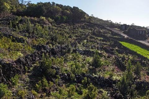 Helårsgrund i Candelaria, Pico, Candelaria - € 85.000 | Ref: AZ97908MK - foto 18