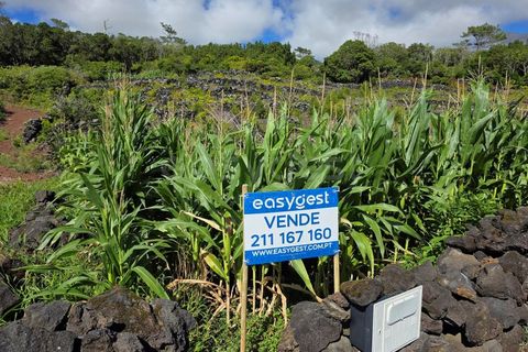 Helårsgrund i Candelaria, Pico, Candelaria - € 85.000 | Ref: AZ97908MK - foto 20