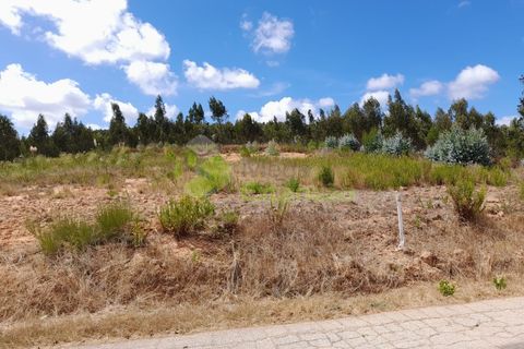 Helårsgrund i Torres Vedras, Lisbon, Torres Vedras - € 80.000 | Ref: 2065 - foto 2