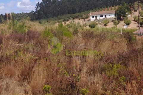 Helårsgrund i Torres Vedras, Lisbon, Torres Vedras - € 80.000 | Ref: 2065 - foto 4