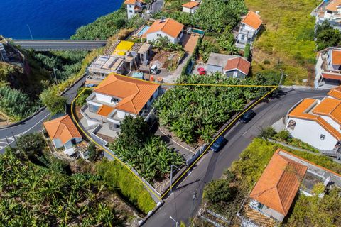 Villa i Calheta, Madeira, Calheta - € 875.000 | Ref: C0447-00181 - foto 6