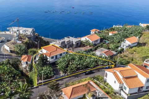 Villa i Calheta, Madeira, Calheta - € 875.000 | Ref: C0447-00181 - foto 11