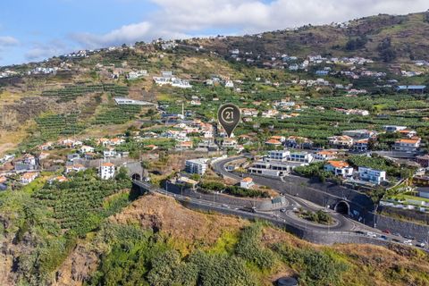 Villa i Calheta, Madeira, Calheta - € 875.000 | Ref: C0447-00181 - foto 38