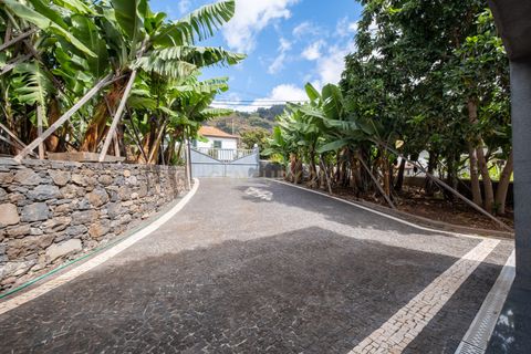 Villa i Calheta, Madeira, Calheta - € 875.000 | Ref: C0447-00181 - foto 41