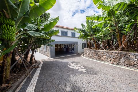 Villa i Calheta, Madeira, Calheta - € 875.000 | Ref: C0447-00181 - foto 42