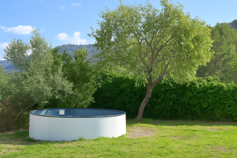 Finca i Andratx, Mallorca, Andratx - € 875.000 | Ref: FALC-JeLu-74522 - foto 7