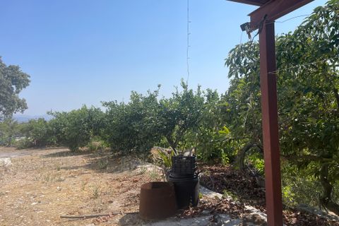 Terra a Coin, Malaga, Coin - € 320.000 | Ref: SPCRM3875 - foto 3