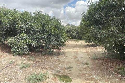 Terra a Coin, Malaga, Coin - € 320.000 | Ref: SPCRM3875 - foto 10