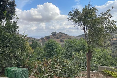 Terra a Coin, Malaga, Coin - € 320.000 | Ref: SPCRM3875 - foto 13