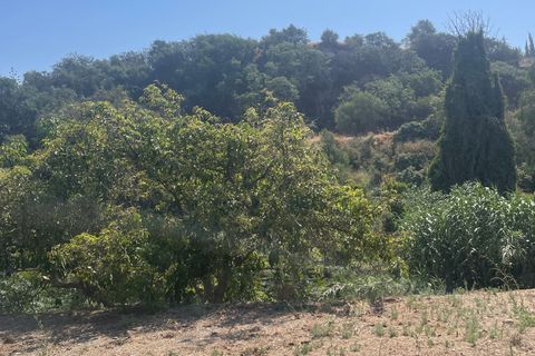 Terra a Coin, Malaga, Coin - € 320.000 | Ref: SPCRM3875 - foto 15