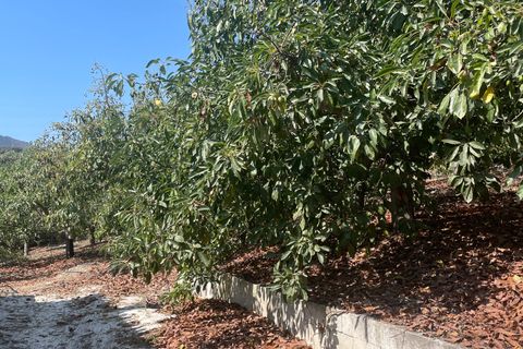 Terra a Coin, Malaga, Coin - € 320.000 | Ref: SPCRM3875 - foto 16