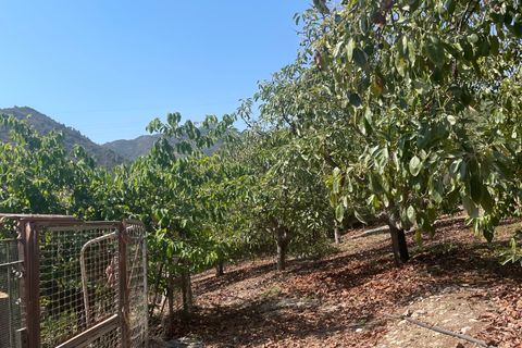 Terra a Coin, Malaga, Coin - € 320.000 | Ref: SPCRM3875 - foto 18