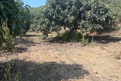 Terra a Coin, Malaga, Coin - € 320.000 | Ref: SPCRM3875 - foto 22