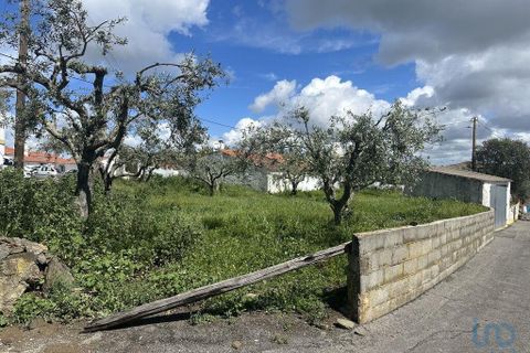 Helårsgrund i Almodovar, Beja, Almodovar - € 19.000 | Ref: 115644 - foto 1