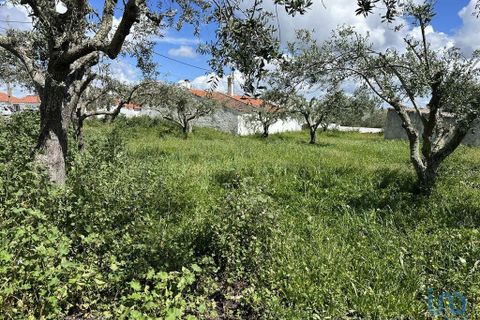 Helårsgrund i Almodovar, Beja, Almodovar - € 19.000 | Ref: 115644 - foto 4