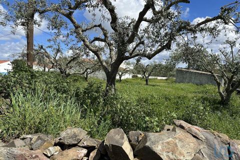 Helårsgrund i Almodovar, Beja, Almodovar - € 19.000 | Ref: 115644 - foto 5