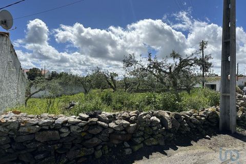 Helårsgrund i Almodovar, Beja, Almodovar - € 19.000 | Ref: 115644 - foto 6
