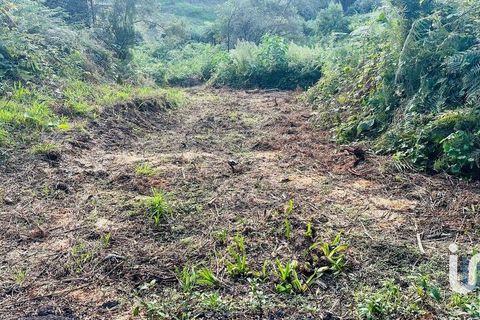 Tomt i Santana, Madeira, Santana - € 85 000 | Ref: 699579 - foto 3