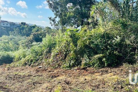 Tomt i Santana, Madeira, Santana - € 85 000 | Ref: 699579 - foto 9
