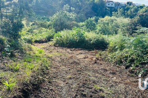 Tomt i Santana, Madeira, Santana - € 85 000 | Ref: 699579 - foto 11