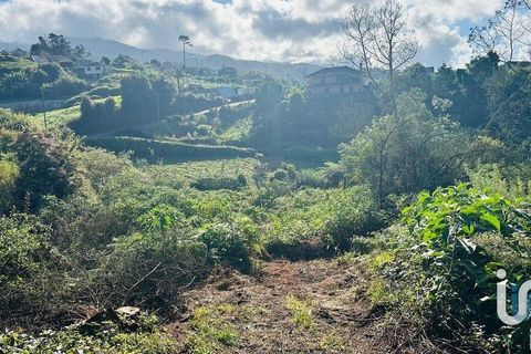Tomt i Santana, Madeira, Santana - € 85 000 | Ref: 699579 - foto 12