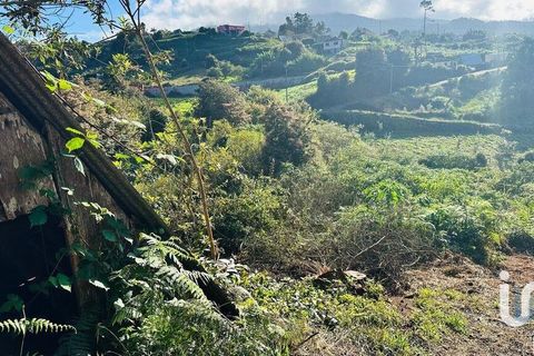 Tomt i Santana, Madeira, Santana - € 85 000 | Ref: 699579 - foto 13