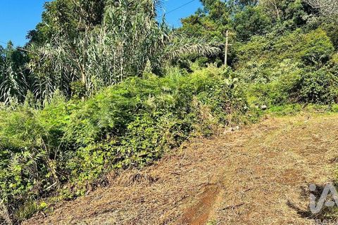 Tomt i Santana, Madeira, Santana - € 85 000 | Ref: 699579 - foto 14