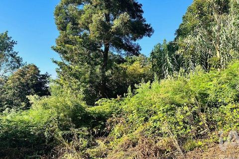 Tomt i Santana, Madeira, Santana - € 85 000 | Ref: 699579 - foto 15