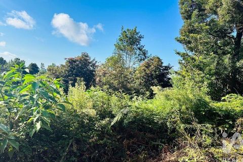 Tomt i Santana, Madeira, Santana - € 85 000 | Ref: 699579 - foto 16